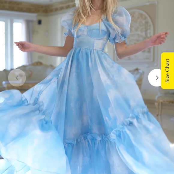 Selkie Dresses & Skirts - Selkie the ritz dress